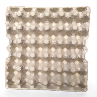30er (S/M) Eierkarton Eierhocker Eierpappe